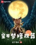 宝可梦修改器丨起点魂宠宝可梦神作丨多人有声剧