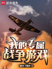 我的专属战争游戏八零
